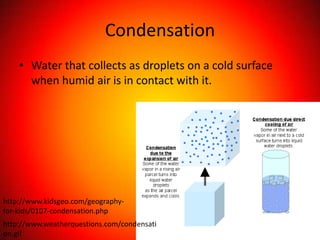 Condensation
    • Water that collects as droplets on a cold surface
      when humid air is in contact with it.




http://www.kidsgeo.com/geography-
for-kids/0107-condensation.php
http://www.weatherquestions.com/condensati
on.gif
 