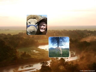 Ali Swanson
University of Minnesota

Credit: Stefan Swanepoel

 