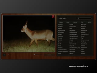 snapshotserengeti.org

 