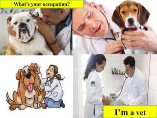 I’m a vet
What’s your occupation?
 
