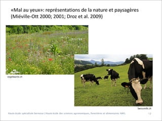 «Mal au yeux»: représentations de la nature et paysagères
(Miéville-Ott 2000; 2001; Droz et al. 2009)

vogelwarte.ch

Swissmilk.ch
Haute école spécialisée bernoise | Haute école des sciences agronomiques, forestières et alimentaires HAFL

12

 