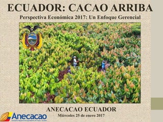 ECUADOR: CACAO ARRIBA
Perspectiva Económica 2017: Un Enfoque Gerencial
ANECACAO ECUADOR
Miércoles 25 de enero 2017
 