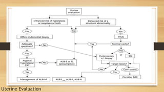 Uterine Evaluation
 