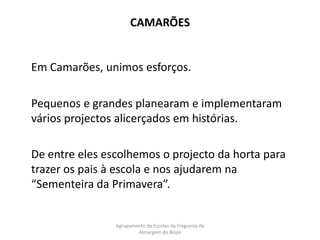 CAMARÕESEm Camarões, unimos esforços. 	Pequenos e grandes planearam e implementaram vários projectos alicerçados em histórias. 	De entre eles escolhemos o projecto da horta para trazer os pais à escola e nos ajudarem na “Sementeira da Primavera”.Agrupamento de Escolas da Freguesia de Almargem do Bispo