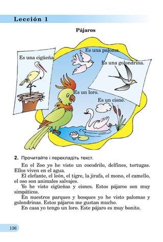 136
Lección 1
Pájaros
Es un loro.
Es una paloma.
Es una golondrina.
Es un cisne.
Es una cigüeña.
2.	 Прочитайте і перекладіть текст.
En el Zoo yo he visto un cocodrilo, delfines, tortugas.
Ellos viven en el agua.
El elefante, el león, el tigre, la jirafa, el mono, el camello,
el oso son animales salvajes.
Yo he visto cigüeñas y cisnes. Estos pájaros son muy
simpáticos.
En nuestros parques y bosques yo he visto palomas y
golondrinas. Estos pájaros me gustan mucho.
En casa yo tengo un loro. Este pájaro es muy bonito.
 