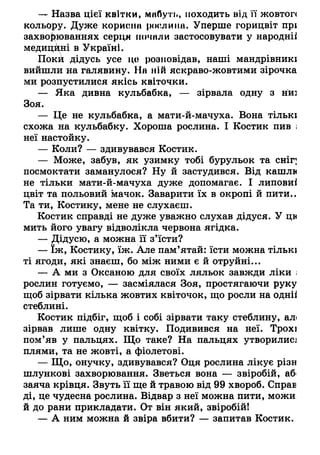 — Назва цієї квітки, миЛуть, походить від її жовтоп
кольору. Дуже користі рослина. Уперше горицвіт прі
захворюваннях серця почили застосовувати у народніі
медицині в Україні.
Поки дідусь усе іі,о розповідав, наші мандрівникі
вийшли на галявину. На ній яскраво-жовтими зірочка
ми розпустилися якісь квіточки.
— Яка дивна кульбабка, — зірвала одну з нш
Зоя.
— Це не кульбабка, а мати-й-мачуха. Вона тількі
схожа на кульбабку. Хороша рослина. І Костик пив і
неї настойку.
— Коли? — здивувався Костик.
— Може, забув, як узимку тобі бурульок та сніг;
посмоктати заманулося? Ну й застудився. Від кашлв
не тільки мати-й-мачуха дуже допомагає. І липовиі
цвіт та польовий мачок. Заварити їх в окропі й пити..
Та ти, Костику, мене не слухаєш.
Костик справді не дуже уважно слухав дідуся. У ци
мить його увагу відволікла червона ягідка.
— Дідусю, а можна її з’їсти?
— їж, Костику, їж. Але пам’ятай: їсти можна тількі
ті ягоди, які знаєш, бо між ними є й отруйні...
— А ми з Оксаною для своїх ляльок завжди ліки і
рослин готуємо, — засміялася Зоя, простягаючи руку
щоб зірвати кілька жовтих квіточок, що росли на одніі
стеблині.
Костик підбіг, щоб і собі зірвати таку стеблину, ал<
зірвав лише одну квітку. Подивився на неї. Трохі
пом’яв у пальцях. Що таке? На пальцях утворилисл
плями, та не жовті, а фіолетові.
— Що, онучку, здивувався? Оця рослина лікує різн
шлункові захворювання. Зветься вона — звіробій, аб<
заяча крівця. Звуть її ще й травою від 99 хвороб. Справ
ді, це чудесна рослина. Відвар з неї можна пити, можи
й до рани прикладати. От він який, звіробій!
— А ним можна й звіра вбити? — запитав Костик.
 