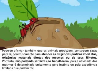 Pode-se afirmar também que os animais produzem, constroem casas
para si, porém somente para atender as exigências práticas imediatas,
exigências materiais diretas dos mesmos ou de seus filhotes.
Portanto, não podendo ser livres ao trabalharem, pois a atividade dos
mesmos é determinada unicamente pelo instinto ou pela experiência
limitada que podem ter.
 