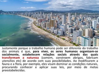 Justamente porque o trabalho humano pode ser diferente do trabalho
dos animais é que, para viver, os seres humanos organizam-se
socialmente, estabelecem relações sociais através das quais
transformam a natureza (comem, constroem abrigos, fabricam
utensílios etc) de acordo com suas possibilidades. Ao modificarem a
fauna e a flora, por exemplo, eles visam dominar as condições naturais,
procurando conhecer e aplicar suas leis, por meio de metas
preestabelecidas.
 