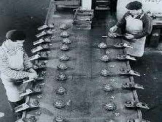 Fordismo e Taylorismo
 