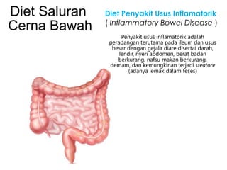 Diet Saluran
Cerna Bawah

Diet Penyakit Usus Inflamatorik
( Inflammatory Bowel Disease )
Penyakit usus inflamatorik adalah
peradangan terutama pada ileum dan usus
besar dengan gejala diare disertai darah,
lendir, nyeri abdomen, berat badan
berkurang, nafsu makan berkurang,
demam, dan kemungkinan terjadi steatore
(adanya lemak dalam feses)

 