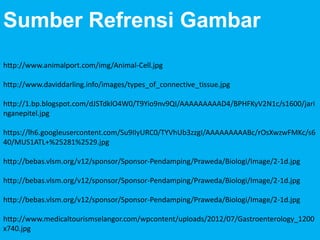 Sumber Refrensi Gambar
http://www.animalport.com/img/Animal-Cell.jpg

http://www.daviddarling.info/images/types_of_connective_tissue.jpg
http://1.bp.blogspot.com/dJSTdklO4W0/T9Yio9nv9QI/AAAAAAAAAD4/BPHFKyV2N1c/s1600/jari
nganepitel.jpg
https://lh6.googleusercontent.com/Su9IIyURC0/TYVhUb3zzgI/AAAAAAAAABc/rOsXwzwFMKc/s6
40/MUS1ATL+%25281%2529.jpg
http://bebas.vlsm.org/v12/sponsor/Sponsor-Pendamping/Praweda/Biologi/Image/2-1d.jpg
http://bebas.vlsm.org/v12/sponsor/Sponsor-Pendamping/Praweda/Biologi/Image/2-1d.jpg
http://bebas.vlsm.org/v12/sponsor/Sponsor-Pendamping/Praweda/Biologi/Image/2-1d.jpg
http://www.medicaltourismselangor.com/wpcontent/uploads/2012/07/Gastroenterology_1200
x740.jpg

 