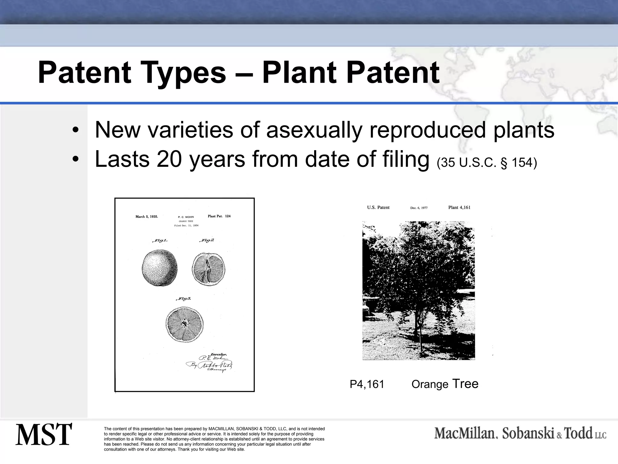 Patent Types – Plant Patent New varieties of asexually reproduced plants Lasts 20 years from date of filing  (35 U.S.C.  § 154) P4,161 Orange  Tree 