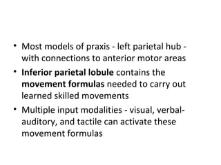 • Most models of praxis - left parietal hub -
with connections to anterior motor areas
• Inferior parietal lobule contains the
movement formulas needed to carry out
learned skilled movements
• Multiple input modalities - visual, verbal-
auditory, and tactile can activate these
movement formulas
 