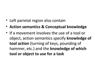 • Left parietal region also contain
• Action semantics & Conceptual knowledge
• If a movement involves the use of a tool or
object, action semantics specify knowledge of
tool action (turning of keys, pounding of
hammer, etc.) and the knowledge of which
tool or object to use for a task
 