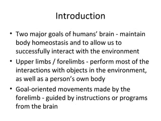 Introduction
• Two major goals of humans’ brain - maintain
body homeostasis and to allow us to
successfully interact with the environment
• Upper limbs / forelimbs - perform most of the
interactions with objects in the environment,
as well as a person’s own body
• Goal-oriented movements made by the
forelimb - guided by instructions or programs
from the brain
 