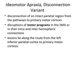 Ideomotor Apraxia, Disconnection
Variant
• disconnection of an intact parietal region from
the pathways to primary motor cortices
• disruptions of motor programs in the SMA or
in their intra-and inter hemispheric
connections
• lesions lie along the route from the left
inferior parietal cortex to primary motor
cortices
 