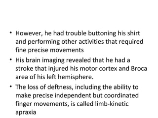 • However, he had trouble buttoning his shirt
and performing other activities that required
fine precise movements
• His brain imaging revealed that he had a
stroke that injured his motor cortex and Broca
area of his left hemisphere.
• The loss of deftness, including the ability to
make precise independent but coordinated
finger movements, is called limb-kinetic
apraxia
 