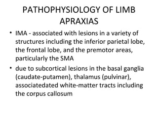PATHOPHYSIOLOGY OF LIMB
APRAXIAS
• IMA - associated with lesions in a variety of
structures including the inferior parietal lobe,
the frontal lobe, and the premotor areas,
particularly the SMA
• due to subcortical lesions in the basal ganglia
(caudate-putamen), thalamus (pulvinar),
associatedated white-matter tracts including
the corpus callosum
 
