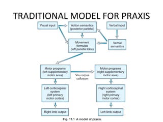 TRADITIONAL MODEL FOR PRAXIS
 