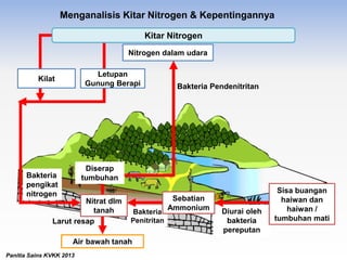 Menganalisis Kitar Nitrogen & Kepentingannya
Nitrogen dalam udara
Larut resap
Bakteria Pendenitritan
Bakteria
Penitritan
Diurai oleh
bakteria
pereputan
Air bawah tanah
Bakteria
pengikat
nitrogen
Nitrat dlm
tanah
Sebatian
Ammonium
Sisa buangan
haiwan dan
haiwan /
tumbuhan mati
Diserap
tumbuhan
Panitia Sains KVKK 2013
Kilat
Letupan
Gunung Berapi
Kitar Nitrogen
 