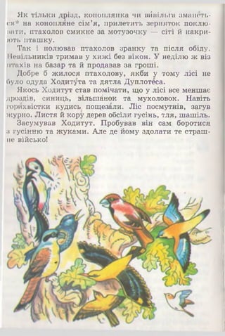 Як тільки дрізд, коноплянка чи вйвільга змаиеть-
ся* на конопляне сім’я, прилетить зерняток поклю­
вати, птахолов смикне за мотузочку — сіті й накри­
ють пташку.
Так і полював птахолов зранку та після обіду.
Невільників тримав у хижі без вікон. У неділю ж віз
птахів на базар та й продавав за гроші.
Добре б жилося птахолову, якби у тому лісі не
було одуда Ходитута та дятла Дуплотеса.
Якось Ходитут став помічати, що у лісі все меншає
дроздів, синиць, вільшанок та мухоловок. Навіть
горихвістки кудись пощезали. Ліс посмутнів, загув
журно. Листя й кору дерев обсіли гусінь, тля, шашіль.
Засумував Ходитут. Пробував він сам боротися
з гусінню та жуками. Але де йому здолати те страш­
не військо!
 