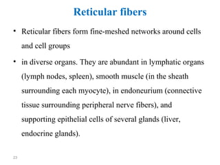 Peripheral Reticular Network C tfinal iiii | PPT