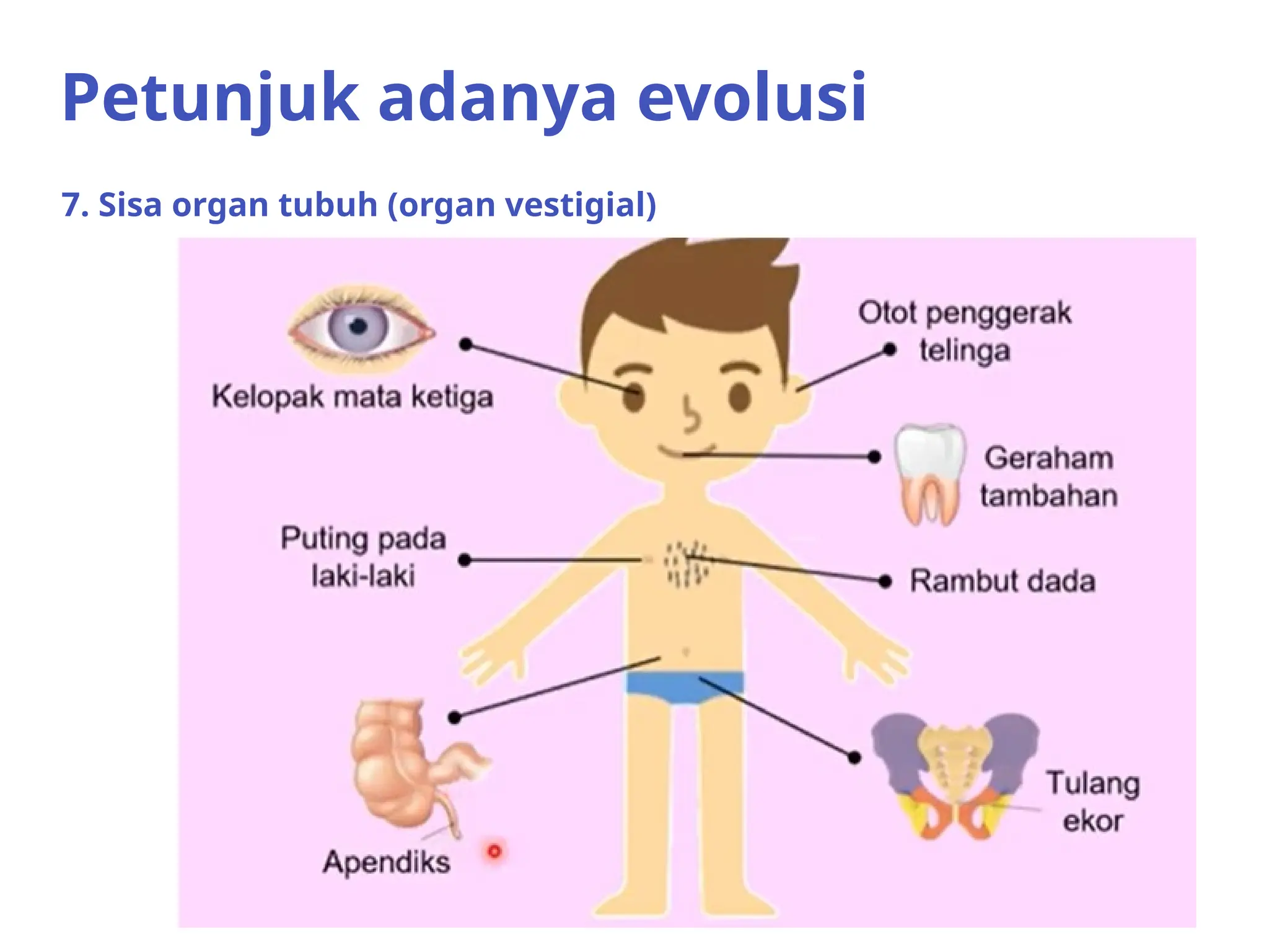 konsep evolusi dari beberapa ilmuwan yang terkenal | PPTX