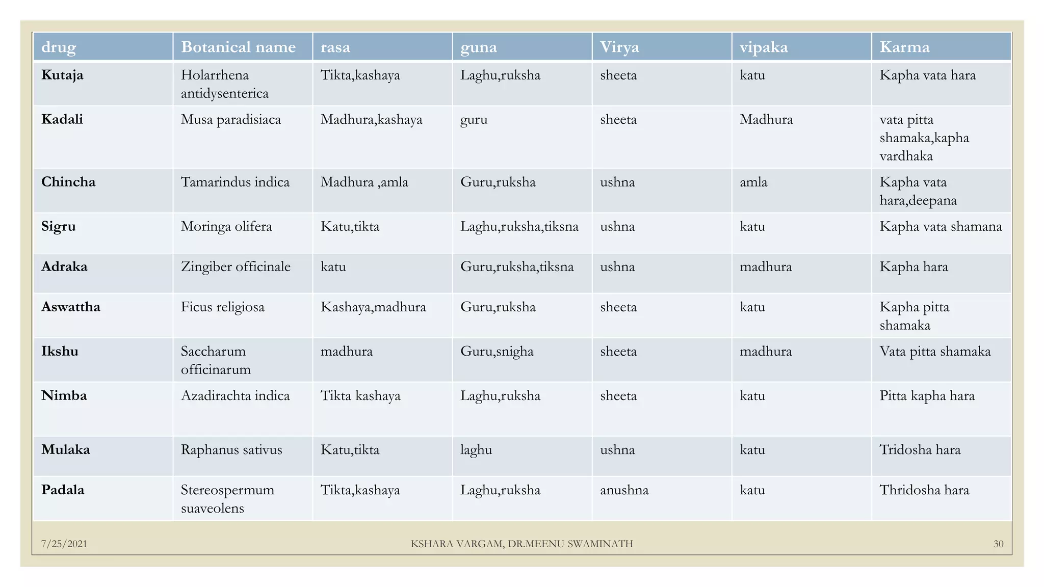 7/25/2021 KSHARA VARGAM, DR.MEENU SWAMINATH 30
drug Botanical name rasa guna Virya vipaka Karma
Kutaja Holarrhena
antidysenterica
Tikta,kashaya Laghu,ruksha sheeta katu Kapha vata hara
Kadali Musa paradisiaca Madhura,kashaya guru sheeta Madhura vata pitta
shamaka,kapha
vardhaka
Chincha Tamarindus indica Madhura ,amla Guru,ruksha ushna amla Kapha vata
hara,deepana
Sigru Moringa olifera Katu,tikta Laghu,ruksha,tiksna ushna katu Kapha vata shamana
Adraka Zingiber officinale katu Guru,ruksha,tiksna ushna madhura Kapha hara
Aswattha Ficus religiosa Kashaya,madhura Guru,ruksha sheeta katu Kapha pitta
shamaka
Ikshu Saccharum
officinarum
madhura Guru,snigha sheeta madhura Vata pitta shamaka
Nimba Azadirachta indica Tikta kashaya Laghu,ruksha sheeta katu Pitta kapha hara
Mulaka Raphanus sativus Katu,tikta laghu ushna katu Tridosha hara
Padala Stereospermum
suaveolens
Tikta,kashaya Laghu,ruksha anushna katu Thridosha hara
 