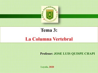 Tema 3:
La Columna Vertebral
Profesor: JOSE LUIS QUISPE CHAPI
Loyola, 2020
 