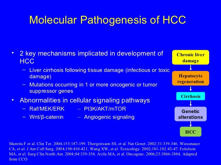 3 kwo hepatocellular cancer