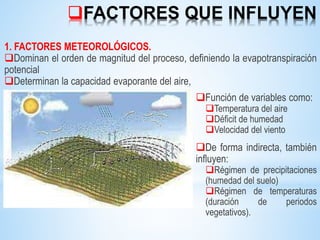 FACTORES QUE INFLUYEN
1. FACTORES METEOROLÓGICOS.
Dominan el orden de magnitud del proceso, definiendo la evapotranspiración
potencial
Determinan la capacidad evaporante del aire,
Función de variables como:
Temperatura del aire
Déficit de humedad
Velocidad del viento
De forma indirecta, también
influyen:
Régimen de precipitaciones
(humedad del suelo)
Régimen de temperaturas
(duración de periodos
vegetativos).
 