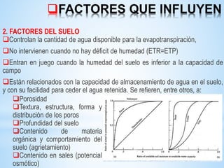 FACTORES QUE INFLUYEN
2. FACTORES DEL SUELO
Controlan la cantidad de agua disponible para la evapotranspiración,
No intervienen cuando no hay déficit de humedad (ETR=ETP)
Entran en juego cuando la humedad del suelo es inferior a la capacidad de
campo
Están relacionados con la capacidad de almacenamiento de agua en el suelo,
y con su facilidad para ceder el agua retenida. Se refieren, entre otros, a:
Porosidad
Textura, estructura, forma y
distribución de los poros
Profundidad del suelo
Contenido de materia
orgánica y comportamiento del
suelo (agrietamiento)
Contenido en sales (potencial
osmótico)
 