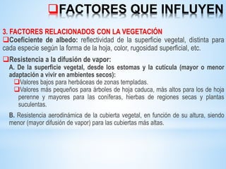 FACTORES QUE INFLUYEN
3. FACTORES RELACIONADOS CON LA VEGETACIÓN
Coeficiente de albedo: reflectividad de la superficie vegetal, distinta para
cada especie según la forma de la hoja, color, rugosidad superficial, etc.
Resistencia a la difusión de vapor:
A. De la superficie vegetal, desde los estomas y la cutícula (mayor o menor
adaptación a vivir en ambientes secos):
Valores bajos para herbáceas de zonas templadas.
Valores más pequeños para árboles de hoja caduca, más altos para los de hoja
perenne y mayores para las coníferas, hierbas de regiones secas y plantas
suculentas.
B. Resistencia aerodinámica de la cubierta vegetal, en función de su altura, siendo
menor (mayor difusión de vapor) para las cubiertas más altas.
 