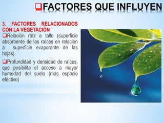 FACTORES QUE INFLUYEN
3. FACTORES RELACIONADOS
CON LA VEGETACIÓN
Relación raíz a tallo (superficie
absorbente de las raíces en relación
a superficie evaporante de las
hojas).
Profundidad y densidad de raíces,
que posibilita el acceso a mayor
humedad del suelo (más espacio
efectivo)
 