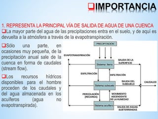 IMPORTANCIA
1. REPRESENTA LA PRINCIPAL VÍA DE SALIDA DE AGUA DE UNA CUENCA
La mayor parte del agua de las precipitaciones entra en el suelo, y de aquí es
devuelta a la atmósfera a través de la evapotranspiración.
Sólo una parte, en
ocasiones muy pequeña, de la
precipitación anual sale de la
cuenca en forma de caudales
(stream flow).
Los recursos hídricos
disponibles para el hombre
proceden de los caudales y
del agua almacenada en los
acuíferos (agua no
evapotranspirada).
 