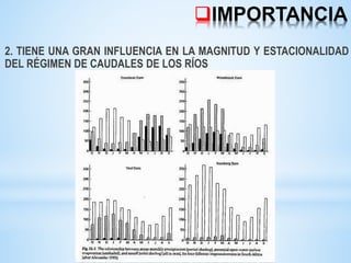 IMPORTANCIA
2. TIENE UNA GRAN INFLUENCIA EN LA MAGNITUD Y ESTACIONALIDAD
DEL RÉGIMEN DE CAUDALES DE LOS RÍOS
 