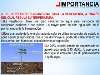 IMPORTANCIA
3. ES UN PROCESO FUNDAMENTAL PARA LA VEGETACIÓN, A TRAVÉS
DEL CUAL REGULA SU TEMPERATURA.
La vegetación utiliza una gran cantidad de agua para transporte de
sustancias nutritivas a sus tejidos. La mayor parte de este agua sale de la
planta, mediante la transpiración.
Una gran parte de la energía radiante solar se utiliza en cambiar de estado el
agua líquida (evaporación), con lo que disminuye su poder de calentamiento de
los cuerpos con humedad, especialmente la vegetación.
A 20ºC, el calor latente de vaporización es
aproximadamente 2,45 MJ/Kg, lo que quiere
decir que se emplean 2,45 MJ para evaporar
1 kg de agua.
 