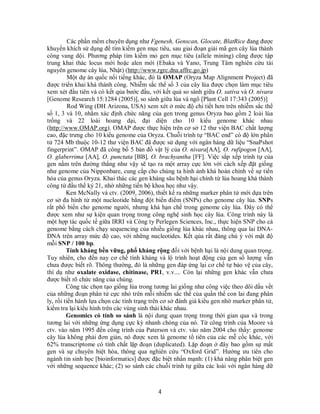 4
Các phần mềm chuyên dụng như Fgenesh, Genscan, Glocate, BlatRice đang được
khuyến khích sử dụng để tìm kiếm gen mục tiêu, sau giai đoạn giải mã gen cây lúa thành
công vang dội. Phương pháp tìm kiếm mỏ gen mục tiêu (allele mining) cũng được tập
trung khai thác locus mới hoặc alen mới (Ebaka và Yano, Trung Tâm nghiên cứu tài
nguyên genome cây lúa, Nhật) (http://www.rgrc.dna.affrc.go.jp)
Một dự án quốc nổi tiếng khác, đó là OMAP (Oryza Map Alignment Project) đã
được triển khai khá thành công. Nhiễm sắc thể số 3 của cây lúa được chọn làm mục tiêu
xem xét đầu tiên và có kết qủa bước đầu, với kết quả so sánh giữa O. sativa và O. nivara
[Genome Research 15:1284 (2005)], so sánh giữa lúa và ngô [Plant Cell 17:343 (2005)]
Rod Wing (ĐH Arizona, USA) xem xét ở mức độ chi tiết hơn trên nhiễm sắc thể
số 1, 3 và 10, nhằm xác định chức năng của gen trong genus Oryza bao gồm 2 loài lúa
trồng và 22 loài hoang dại, đại diện cho 10 kiểu genome khác nhau
(http://www.OMAP.org). OMAP được thực hiện trên cơ sở 12 thư viện BAC chất lượng
cao, đặc trưng cho 10 kiểu genome của Oryza. Chuỗi trình tự “BAC end” có độ lớn phân
tử 724 Mb thuộc 10-12 thư viện BAC đã được sử dụng với ngân hàng dữ liệu “SnaPshot
fingerprint”. OMAP đã công bố 5 bản đồ vật lý của O. nivara[AA], O. rufipogon [AA],
O. glaberrima [AA], O. punctata [BB], O. brachyantha [FF]. Việc sắp xếp trình tự của
gen nằm trên đường thẳng như vậy sẽ tạo ra một array cực lớn với cách xếp đặt giống
như genome của Nipponbare, cung cấp cho chúng ta hình ảnh khá hoàn chỉnh về sự tiến
hóa của genus Oryza. Khai thác các gen kháng sâu bệnh hại chính từ lúa hoang khá thành
công từ đầu thế kỷ 21, nhờ những tiến bộ khoa học như vậy.
Ken McNally và ctv. (2009, 2006), thiết kế ra những marker phân tử mới dựa trên
cơ sở đa hình từ một nucleotide bằng đột biến điểm (SNPs) cho genome cây lúa. SNPs
rất phổ biến cho genome người, nhưng khá hạn chế trong genome cây lúa. Đây có thể
được xem như sự kiện quan trọng trong công nghệ sinh học cây lúa. Công trình này là
một hợp tác quốc tế giữa IRRI và Công ty Perlegen Sciences, Inc., thực hiện SNP cho cả
genome bằng cách chạy sequencing của nhiều giống lúa khác nhau, thông qua lai DNA-
DNA trên array mức độ cao, với những nucleotides. Kết qủa rất đáng chú ý với mật độ
mỗi SNP / 100 bp.
Tính kháng bền vững, phổ kháng rộng đối với bệnh hại là nội dung quan trọng.
Tuy nhiên, cho đến nay cơ chế tính kháng và lộ trình hoạt động của gen số lượng vẫn
chưa được biết rõ. Thông thường, đó là những gen đáp ứng lại cơ chế tự bảo vệ của cây,
thí dụ như oxalate oxidase, chitinase, PR1, v.v.... Còn lại những gen khác vẫn chưa
được biết rõ chức năng của chúng.
Công tác chọn tạo giống lúa trong tương lai giống như công việc theo dõi dấu vết
của những đoạn phân tử cực nhỏ trên mỗi nhiễm sắc thể của quần thể con lai đang phân
ly, rồi tiến hành lựa chọn các tính trạng trên cơ sở đánh giá kiểu gen nhờ marker phân tử,
kiểm tra lại kiểu hình trên các vùng sinh thái khác nhau.
Genomics có tính so sánh là nội dung quan trọng trong thời gian qua và trong
tương lai với những ứng dụng cực kỳ nhanh chóng của nó. Từ công trình của Moore và
ctv. vào năm 1995 đến công trình của Paterson và ctv. vào năm 2004 cho thấy: genome
cây lúa không phải đơn giản, nó được xem là genome tổ tiên của các mễ cốc khác, với
62% transcriptome có tính chất lặp đoạn (duplicated). Lặp đoạn ở đây bao gồm sự mất
gen và sự chuyên biệt hóa, thông qua nghiên cứu “Oxford Grid”. Hướng ưu tiên cho
ngành tin sinh học [bioinformatics] được đặc biệt nhấn mạnh: (1) khả năng phân biệt gen
với những sequence khác; (2) so sánh các chuỗi trình tự giữa các loài với ngân hàng dữ
 
