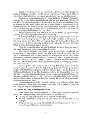 6
Sự phá vở tính kháng rầy nâu của các giống lúa hiện nay do sự kiện thích nghi của
rầy (sinh vật bậc cao, chỉ cần 2 vòng đời tạp giao, mất khoảng 60 ngày, rầy có thể tạo ra
quần thể mới thích nghi với cây chủ; nếu áp lực quần thể rầy quá cao trên đồng ruộng).
Sự đóng góp tương đối của con lai đối với thế hệ kế tiếp là “fitness” (thích nghi).
Chọn lọc đạt kết qủa tốt làm thay đổi tần suất kiểu gen trong con lai, điều đó cần một
thay đổi về tần suất gen trong giao tử của quần thể bố mẹ. Chọn lọc trong quần thể bố mẹ
có thể được thực hiện ở mức độ kiểu hình hơn là ở mức độ giao tử, làm phát sinh vấn đề
phải xác định kiểu gen bố mẹ để có loại giao tử mong muốn. Hiện tượng thích nghi của
một cá thể là sự đóng góp của những gen tạo ra thế hệ kế tiếp, hoặc tạo ra một số lớn con
lai của nó trong thế hệ kế tiếp (Bửu và Lang 2003).
Khi giá trị fitness trung bình được xem xét với góc độ như vậy, người ta sẽ giả
định rằng quần thể không bị hạn chế bởi yếu tố môi trường
Nếu chúng ta không có những ruộng cung cấp nguồn rầy nâu với mật độ cao (thí
dụ như Jasmine 85, các giống nếp, v.v...) giá trị thích nghi trung bình sẽ không thay đổi,
tính kháng rầy nâu sẽ có thể ổn định, với bộ giống đang canh tác tương đối đa dạng về di
truyền của cây chủ. Những biện pháp tác động về môi trường như “Ba Giảm, Ba Tăng”,
“IPM” sẽ rất tốt cho biện pháp quản lý như vậy.
Nông dân sử dụng hạt giống xác nhận là khâu có tính quyết định trong quản lý
tính kháng rầy nâu trong trường hợp gen kháng là gen lặn.
Khai thác gen mới Bph-18 trên nguồn vật liệu IR65482-7-216-1-2 (dẫn xuất của
O. australiensis), nhờ marker RM6217, trên NST số 12 (Jena và ctv. 2006). Hai gen
Bph10 và Bph18 được phân tích alen, cho thấy đó là hai gen gen liên kết theo kiểu lặp
đoạn (phân ly 15:1) trên cùng nhiễm sắc thể 12 (Jena và ctv. 2006). Các giống triển vọng:
OM4498, OM5930, OM2395, OM6055, OM5625, OM5936, OM5628, OM5799 ,
OM7347, OM6840 đã được khai thác hai gen Bph10 và Bph18 theo hướng này (chọn lọc
nhờ chỉ thị phân tử).
Gen kháng Bph15 trên nhiễm sắc thể số 4 cũng được lưu ý. Nguồn cho là lúa
hoang O. officinalis, quần thể được thu thập tại Trung Quốc. Nó định vị ở quãng giữa 2
marker: C820-S11182 (trong đó có 22 SSR và 25 STS). Nó định vị gần tâm động, rất khó
lập bản đồ, khả năng tái tổ hợp thấp, do cấu trúc dị nhiễm sắc. Sử dụng BAC clones cho
thấy trên 47 kb chiều dài đoạn phân tử mục tiêu, có sự hiện diện của 11 ORFs [phân tích
Genscan], với khoảng cách vật lý 1Mb / Ø di truyền 1 cM (thay vì 260 kb/cM như bình
thường). Do đó, chúng ta phải thực hiện fine mapping thật chi tiết để dò tìm marker
tương ứng (Yang và ctv. 2004).
Gen kháng Bph14 trên nhiễm sắc thể số 3, và Bph15 trên nhiễm sắc thể số 4 được
đặt tên mới trong chương trình Green Super Rice ở Trung Quốc là Qbph1 và Qbph2, do
tính kháng phổ rộng của chúng (Zhang 2008).
2-3. Genome học trong tính kháng bệnh đạo ôn
Trước sự kiện đồng tiến hoá của ký chủ và ký sinh [gen R của cây lúa + gen avir
của ký sinh] (Wang và Leung 1999), người ta đưa ra các giải pháp sau:
 Gia tăng khả năng ngăn cản mạnh mẽ sự phát sinh nòi (pathogen)
 Sử dụng tính kháng số lượng: làm suy giảm sự kéo dài giai đoạn sinh sản của
pathogen
 Dòng hoá (cloning) gen kháng thành công là tiền đề khẳng định cơ sở phân tử và
hoá sinh của gen kháng theo hướng bền vững
 