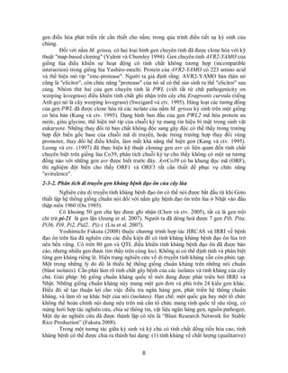 8
gen điều hòa phát triển rất cần thiết cho nấm, trong qúa trình điều tiết sự ký sinh của
chúng.
Đối với nấm M. grisea, có hai loại hình gen chuyên tính đã được clone hóa với kỹ
thuật "map-based cloning" (Valent và Chumley 1994). Gen chuyên tính AVR2-YAMO của
giống lúa điều khiển sự hoạt động có tính chất không tương hợp (incompatible
interaction) trong giống lúa Yashiro-mochi. Protein của AVR2-YAMO có 223 amino acid
và thể hiện mô típ "zinc-protease". Người ta giả định rằng: AVR2-YAMO bản thân nó
cũng là "elicitor", còn chức năng "protease" của nó sẽ có thể sản sinh ra thể "elicitor" sau
cùng. Nhóm thứ hai của gen chuyên tính là PWL (viết tắt từ chữ pathogenicity on
weeping lovegrass) điều khiển tính chất ghi nhận trên cây chủ Eragrostis curvula (tiếng
Anh gọi nó là cây weeping lovegrass) (Sweigard và ctv. 1995). Hàng loạt các tương đồng
của gen PWL đã được clone hóa từ các isolate của nấm M. grisea ký sinh trên một giống
cỏ hòa bản (Kang và ctv. 1995). Dạng hình ban đầu của gen PWL2 mã hóa protein ưa
nước, giàu glycine, thể hiện mô típ của chuỗi ký tự mang tín hiệu bí mật trong sinh vật
eukaryote. Những thay đổi từ bản chất không độc sang gây độc có thể thấy trong trường
hợp đột biến gốc base của chuỗi mã di truyền, hoặc trong trường hợp thay đổi vùng
promoter, thay đổi hệ điều khiển, làm mất khả năng thể hiện gen (Kang và ctv. 1995).
Leong và ctv. (1997) đã thực hiện kỹ thuật cloning gen avr có liên quan đến tính chất
chuyên biệt trên giống lúa Co39, phân tích chuỗi ký tự cho thấy không có một sự tương
đồng nào với những gen avr được biết trước đây. AvrCo39 có ba khung đọc mã (ORF),
thí nghiệm đột biến cho thấy ORF1 và ORF3 rất cần thiết để phục vụ chức năng
"avirulence".
2-3-2. Phân tích di truyền gen kháng bệnh đạo ôn của cây lúa
Nghiên cứu di truyền tính kháng bệnh đạo ôn có thể nói được bắt đầu từ khi Goto
thiết lập hệ thống giống chuẩn nòi đối với nấm gây bệnh đạo ôn trên lúa ở Nhật vào đầu
thập niên 1960 (Ou 1985).
Có khoảng 50 gen chủ lực được ghi nhận (Chen và ctv. 2005), tất cả là gen trội
chỉ trừ pi-21 là gen lặn (Jeung et al. 2007). Người ta đã dòng hoá được 7 gen Pib, Pita,
Pi36, Pi9, Pi2, Pid2, Piz-t (Liu et al. 2007).
Yoshimichi Fukuta (2008) thuộc chương trình hợp tác JIRCAS và IRRI về bệnh
đạo ôn trên lúa đã nghiên cứu các điều kiện để có tính kháng kháng bệnh đạo ôn lúa trở
nên bền vững. Có trên 80 gen và QTL điều khiển tính kháng bệnh đạo ôn đã được báo
cáo, nhưng nhiều gen được tìm thấy trên cùng loci. Không ai có thể định tính và phân biệt
từng gen kháng riêng lẻ. Hiện trạng nghiên cứu về di truyền tính kháng vẫn còn phức tạp.
Một trong những lý do đó là thiếu hệ thống giống chuẩn kháng trên những nòi chuẩn
(blast isolates). Cần phải làm rõ tính chất gây bệnh của các isolates và tính kháng của cây
chủ. Giải pháp: bộ giống chuẩn kháng quốc tế mới đang được phát triển bởi IRRI và
Nhật. Những giống chuẩn kháng này mang một gen đơn và phủ trên 24 kiểu gen khác.
Điều đó sẽ tạo thuận lợi cho việc điều tra ngân hàng gen, phát triển hệ thống chuẩn
kháng, và làm rõ sự khác biệt của nòi (isolates). Hạn chế: một quốc gia hay một tổ chức
không thể hoàn chỉnh nội dung nêu trên mà cần tổ chức mang tính quốc tế sâu rộng, có
màng lưới hợp tác nghiên cứu, chia sẻ thông tin, vật liệu ngân hàng gen, nguồn pathogen.
Một dự án nghiên cứu đã được thành lập có tên là “Blast Research Network for Stable
Rice Production” (Fukuta 2008).
Trong một tương tác giữa ký sinh và ký chủ có tính chất đồng tiến hóa cao, tính
kháng bệnh có thể được chia ra thành hai dạng: (1) tính kháng về chất lượng (qualitative)
 