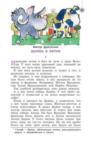 Виктор Драгунский
ДЫМКА И АНТОН
1
Прошлым летом я был на даче у дяди Воло-
ди. У него очень красивый дом, похожий на
вокзал, но чуть-чуть поменьше.
Я там жил целую неделю, и ходил в лес, и
разводил костры, и купался.
Но главное, я там подружился с собаками. Их
там было очень много, и все называли их по
имени и фамилии. Например, Жучка Бреднева,
или Тузик Мурашовский, или Барбос Исаенко.
Так удобней разбираться, кого какая укусила.
А у нас жила собака Дымка. У неё хвост за-
гнутый и лохматый и на ногах шерстяные га-
лифе*.
Когда я смотрел на Дымку, я удивлялся, что
у неё такие красивые глаза. Жёлтые-жёлтые и
очень понятливые. Я давал Дымке сахар, и она
всегда виляла мне хвостом. А через два дома
жила собака Антон. Он был Ванькин. Ванькина
фамилия была Дыхов, вот и Антон назывался
Антон Дыхов. У этого Антона было только три
ноги, одну он где-то потерял. Но он всё равно
бегал на этих трёх ногах, как будто их было
* Галифе – брюки, облегающие колени, расширяющиеся
кверху и заправляемые в сапоги.
87
’
 