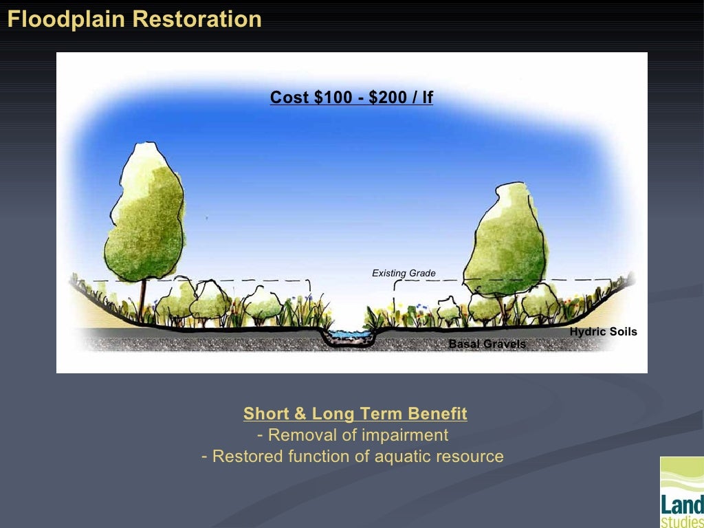 Land Conservation Strategies Conor Gillespie