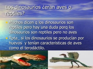 Los dinosaurios ¿eran aves o reptiles? ,[object Object],[object Object]