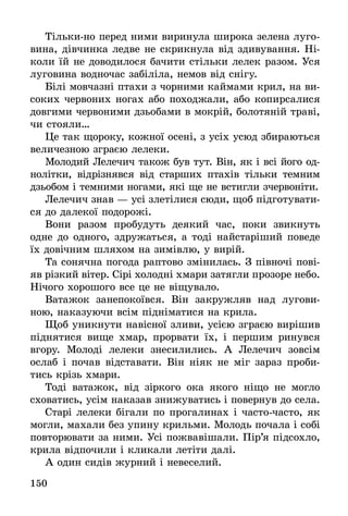 150
Тільки-но перед ними виринула широка зелена луго-
вина, дівчинка ледве не скрикнула від здивування. Ні-
коли їй не доводилося бачити стільки лелек разом. Уся
луговина водночас забіліла, немов від снігу.
Білі мовчазні птахи з чорними каймами крил, на ви-
соких червоних ногах або походжали, або копирсалися
довгими червоними дзьобами в мокрій, болотяній траві,
чи стояли…
Це так щороку, кожної осені, з усіх усюд збираються
величезною зграєю лелеки.
Молодий Лелечич також був тут. Він, як і всі його од-
нолітки, відрізнявся від старших птахів тільки темним
дзьобом і темними ногами, які ще не встигли зчервоніти.
Лелечич знав — усі злетілися сюди, щоб підготувати-
ся до далекої подорожі.
Вони разом пробудуть деякий час, поки звикнуть
одне до одного, здружаться, а тоді найстаріший поведе
їх довічним шляхом на зимівлю, у вирій.
Та сонячна погода раптово змінилась. З півночі пові-
яв різкий вітер. Сірі холодні хмари затягли прозоре небо.
Нічого хорошого все це не віщувало.
Ватажок занепокоївся. Він закружляв над лугови-
ною, наказуючи всім підніматися на крила.
Щоб уникнути навісної зливи, усією зграєю вирішив
піднятися вище хмар, прорвати їх, і першим ринувся
вгору. Молоді лелеки знесилились. А Лелечич зовсім
ослаб і почав відставати. Він ніяк не міг зараз проби-
тись крізь хмари.
Тоді ватажок, від зіркого ока якого ніщо не могло
сховатись, усім наказав знижуватись і повернув до села.
Старі лелеки бігали по прогалинах і часто-часто, як
могли, махали без упину крильми. Молодь почала і собі
повторювати за ними. Усі пожвавішали. Пір’я підсохло,
крила відпочили і кликали летіти далі.
А один сидів журний і невеселий.
 