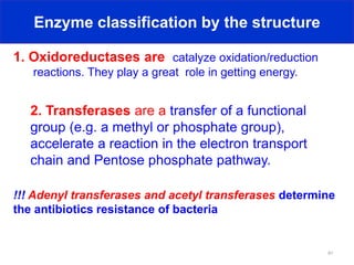 Physiology of bacteria.pdf pathophysiology | PDF