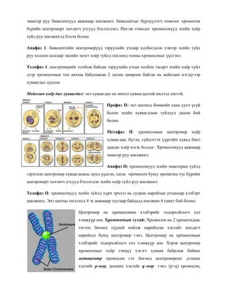 3 lekts | PDF