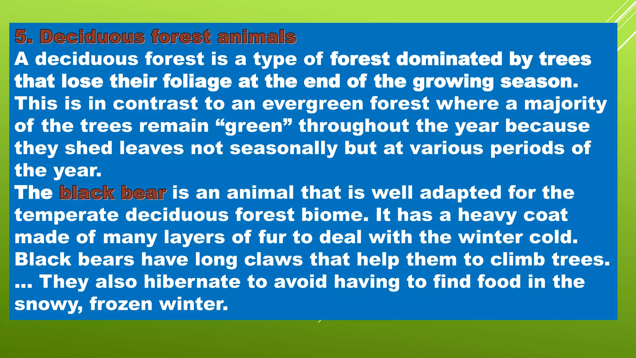 A deciduous forest is a type of forest dominated by trees
that lose their foliage at the end of the growing season.
This is in contrast to an evergreen forest where a majority
of the trees remain “green” throughout the year because
they shed leaves not seasonally but at various periods of
the year.
The is an animal that is well adapted for the
temperate deciduous forest biome. It has a heavy coat
made of many layers of fur to deal with the winter cold.
Black bears have long claws that help them to climb trees.
... They also hibernate to avoid having to find food in the
snowy, frozen winter.
 