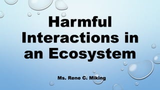 Harmful
Interactions in
an Ecosystem
Ms. Rene C. Miking
 