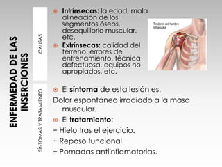 CAUSASSÍNTOMASYTRATAMIENTO
 Intrínsecas: la edad, mala
alineación de los
segmentos óseos,
desequilibrio muscular,
etc.
 Extrínsecas: calidad del
terreno, errores de
entrenamiento, técnica
defectuosa, equipos no
apropiados, etc.
 El síntoma de esta lesión es.
Dolor espontáneo irradiado a la masa
muscular.
 El tratamiento:
+ Hielo tras el ejercicio.
+ Reposo funcional.
+ Pomadas antiinflamatorias.
 