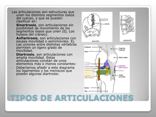 TIPOS DE ARTICULACIONES
Las articulaciones son estructuras que
unen los distintos segmentos óseos
del cuerpo, y que se pueden
clasificar en:
 Sinartrosis, son articulaciones sin
posibilidad de movimiento de los
segmentos óseos que unen (Ej. Los
huesos del cráneo).
 Anfiartrosis, son articulaciones con
escasa movilidad o semimóviles. Ej.
Las uniones entre distintas vértebras
permiten un ligero grado de
movilidad.
 Diartrosis, son articulaciones con
amplia movilidad. Estas
articulaciones constan de unos
elementos más o menos constantes:
 Deberíamos añadir a este diagrama
los ligamentos y los meniscos que
poseen algunas diartrosis:
 